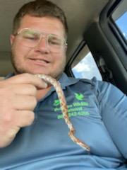 Colton Bullock - Owner Bullock's Wildlife Removal, LLC