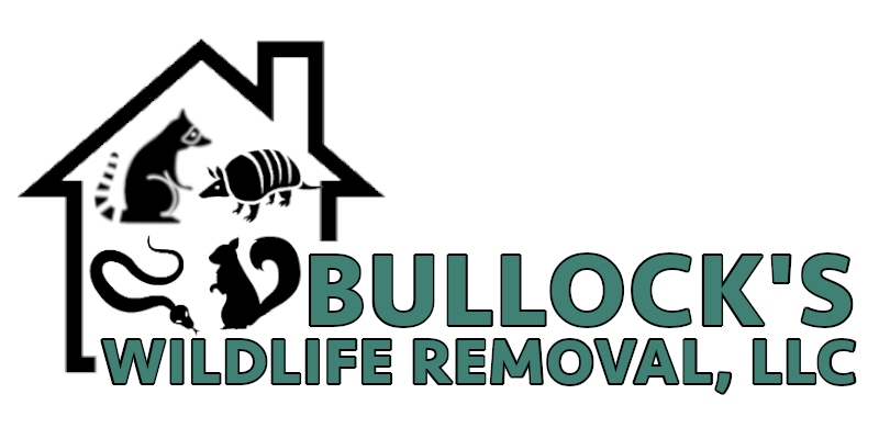 Bullocks Wildlife Removal LLC